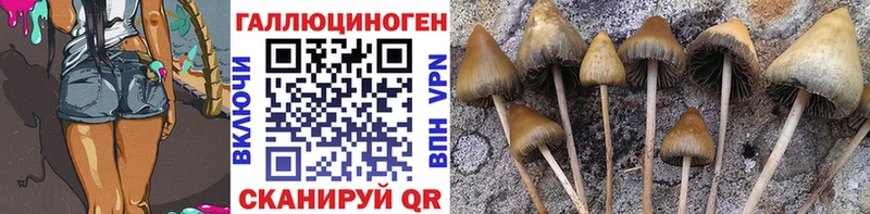 Галлюциногенные грибы Psilocybine cubensis  купить наркотик  OMG сайт  Барабинск 